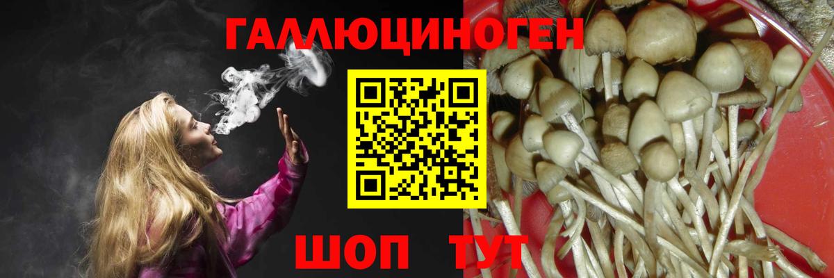 Галлюциногенные грибы Psilocybine cubensis Отрадный